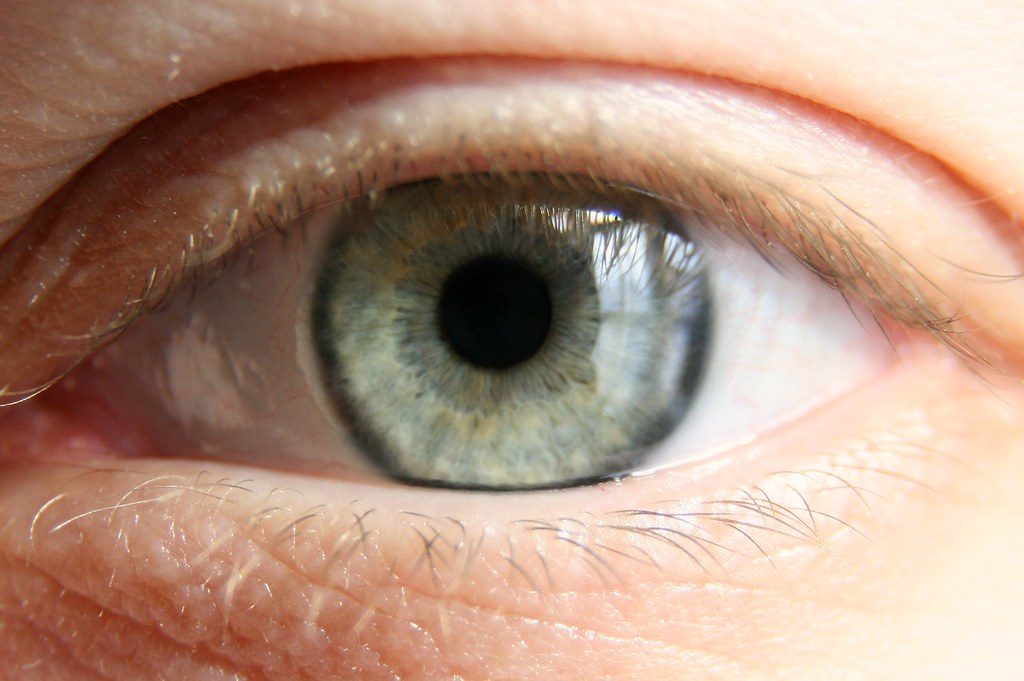 Brow Lamination
