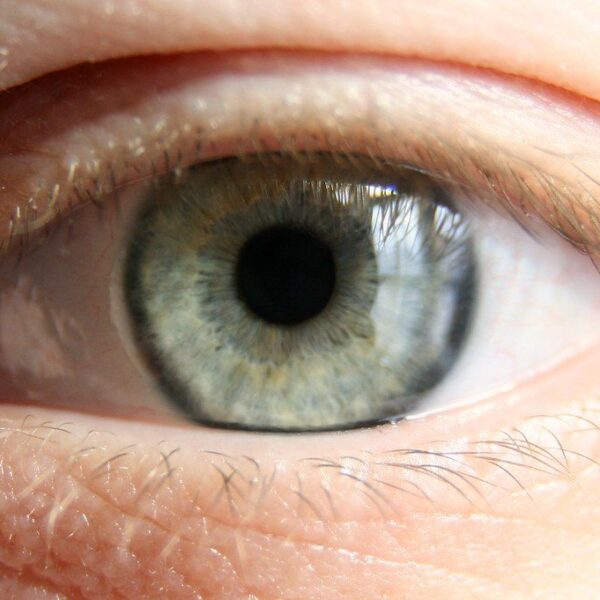 Lash Lift