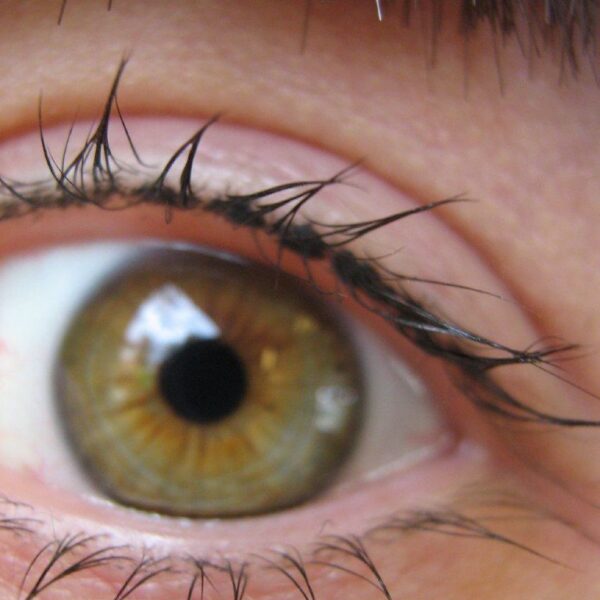 Lash Tint
