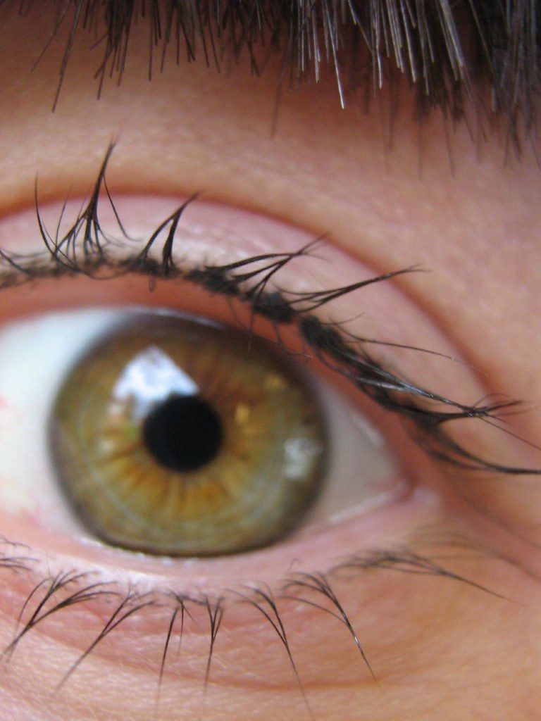 Lash Tint